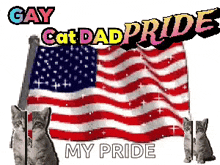 two cats are standing in front of an american flag with the words gay cat dad pride my pride