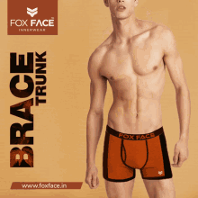 Fox Face Trunk Foxface GIF - Fox Face Trunk Foxface GIFs