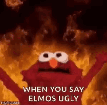 Elmo Fire GIF - Elmo Fire When You Say Elmos Ugly GIFs