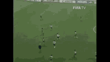 Diego Maradona Maradona GIF - Diego Maradona Maradona World Cup GIFs