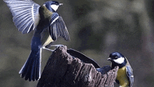 Looking Left To Right Tit GIF - Looking Left To Right Tit Robert E Fuller GIFs