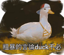 Duck Shuba GIF - Duck Shuba 大可不必 GIFs