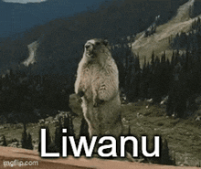 a squirrel standing on its hind legs with the word liwanu written on it