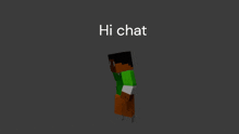 Hi Chat Minecraft GIF - Hi Chat Minecraft Chill Smp GIFs