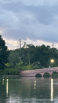 a bridge over a body of water in a park