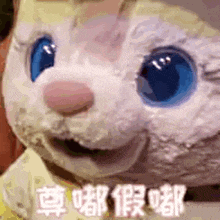 a close up of a stuffed animal with blue eyes and chinese writing on it