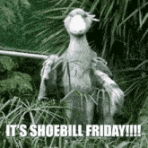 Shoebill Shoebill Friday GIF - Shoebill Shoebill Friday Shoebill Stork GIFs