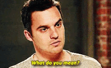 what do you mean mean confused new girl nick miller