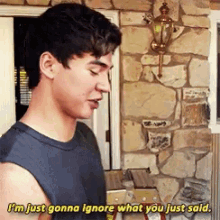 a man is standing in front of a stone wall and saying i 'm just gonna ignore what you just said