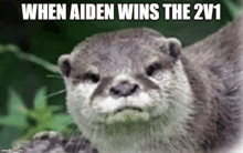 Aiden 2v1 GIF - Aiden 2v1 When Aiden Wins The2v1 GIFs