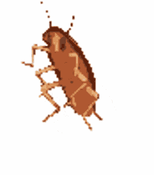 spin cockroach