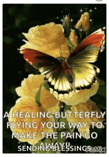 a butterfly is sitting on a yellow rose with the words a healing butterfly flying your way to make the pain go below