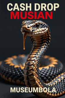 a snake is on a poster that says cash drop musian