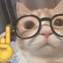 Cat Nerd GIF - Cat Nerd Nerd Emoji GIFs