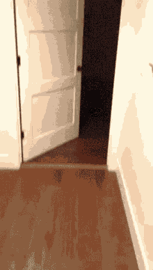 a door is open to a dark room with a brown floor
