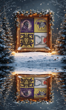 a framed picture of a lion with the words " i am the light of the world "