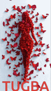a silhouette of a woman made of red butterflies with the name tugba on the bottom