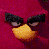 Angry Birds Terence GIF