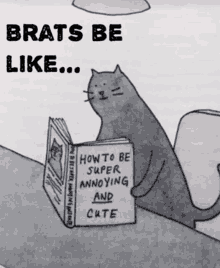 Cat Brat GIF - Cat Brat GIFs