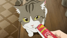 Anime Cat Anime Cat Eating GIF - Anime Cat Anime Cat Eating Anime Cat Feed GIFs