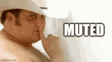 Muted Meow GIF - Muted Meow Funny GIFs