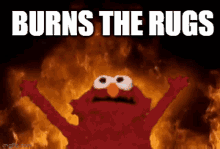 rugdollz nft waronrugs burn the rugs