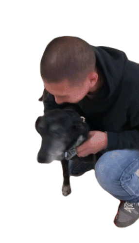 Cuddling Dog Happily Sticker - Cuddling Dog Happily Hug Dog Stickers