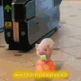 a picture of a pig with a sign that says " життя прекрасне " on it