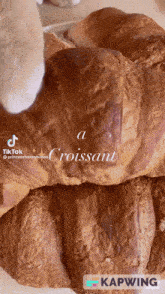 Quaso Croissant GIF - Quaso Croissant Cat GIFs
