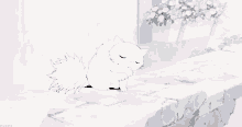 Cat White GIF - Cat White Anime GIFs