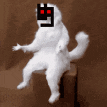 a white cat with red eyes is sitting on a box with a black square on its face