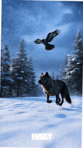 a painting of a wolf running in the snow with the word family underneath