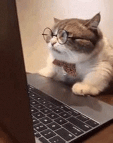 Trading #bitcoin