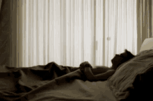 Rivers Cuomo Waking Up GIF - Rivers Cuomo Waking Up Getting Out Of Bed GIFs