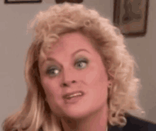 Amy Poehler What GIF - Amy Poehler What GIFs