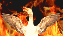 Fire Goose GIF - Fire Goose This Is Fine GIFs