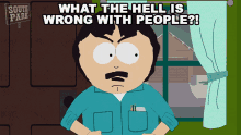 What The Hell Is Wrong With People Randy Marsh GIF