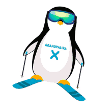penguin grandvalira skiing snowboarding