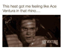 Ace Venturaheat Sweaty GIF - Ace Venturaheat Sweaty Heat GIFs