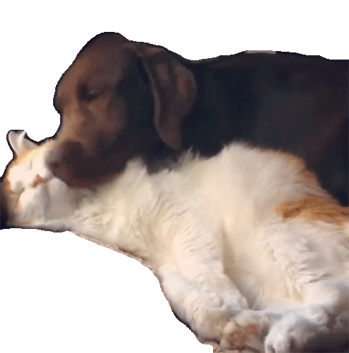 Comfort Lick Sticker - Comfort Lick Dog Stickers