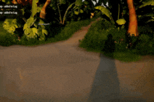 a screenshot of a video game with a shadow of a person on the ground