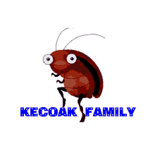 miggi kecoak family family