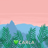 the name carla is on a pink background