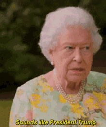 queen elizabeth sounds like president donald trump confused worried eyebrow raise
