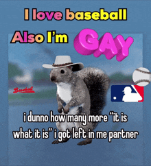 a squirrel wearing a cowboy hat with the words " i love baseball also i 'm gay " above it