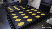 a bunch of trays of food with the words made in animotica in the corner