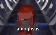 amoghsus