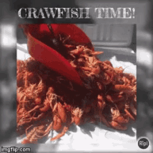 crawfish louisiana