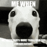 Hej Thats More Than I Can Eat For Breakfast GIF - Hej Thats More Than I Can Eat For Breakfast Teeth Chatter Dog GIFs