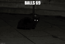 Balls69 GIF - Balls69 GIFs
